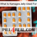 What Is Kamagra Jelly Used For cialis4